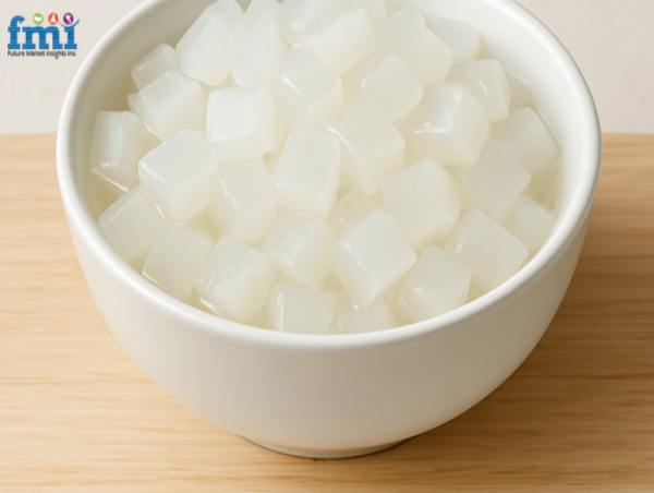 Nata De Coco Market to Reach USD 1,572 Million by 2035, Driven by Rising Demand for Healthy Snacks | FMI