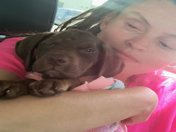 Abused Puppy 'Sweetpea' Receives Lifesaving Neurological Surgery at ACCESS Specialty Animal Hospital in Palm Beach