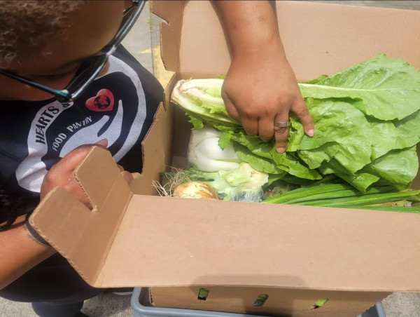 Families Are Hungry, Shelves Are Bare: Charlotte Food Pantry Urgently Calls for Support