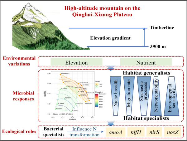 Tiny titans at high elevations: how soil microbes sustain forest resilience