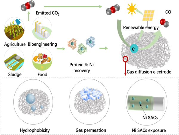 From trash to catalyst: a single-atom strategy for carbon conversion