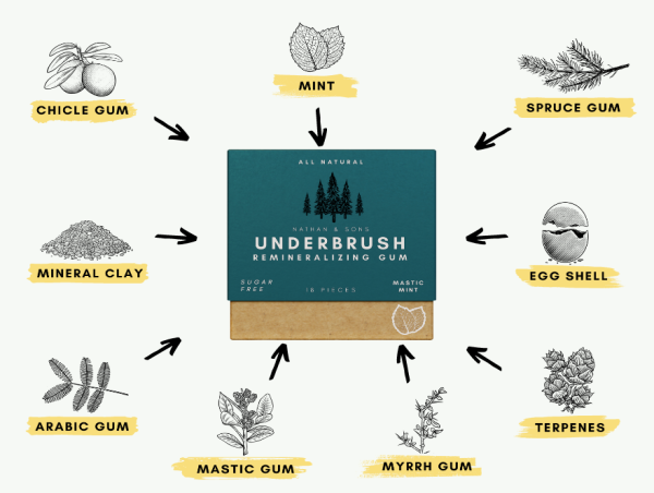 Nathan & Sons Launches Underbrush, the Remineralizing Gum Brand