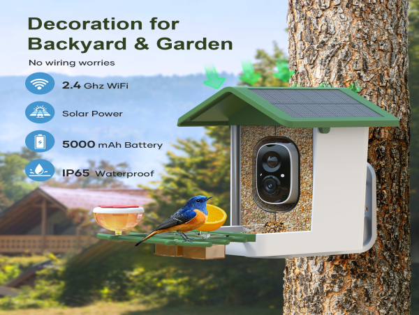 Firstrend Introduces G02 Smart Bird Feeder with Integrated Camera and AI Recognition