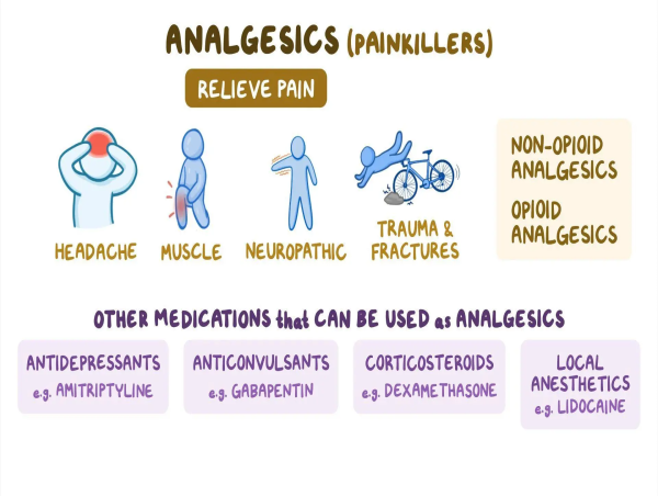  Analgesics Market Forecast to Hit USD 85.91 Billion by 2032, Exhibiting 6.7% CAGR 
