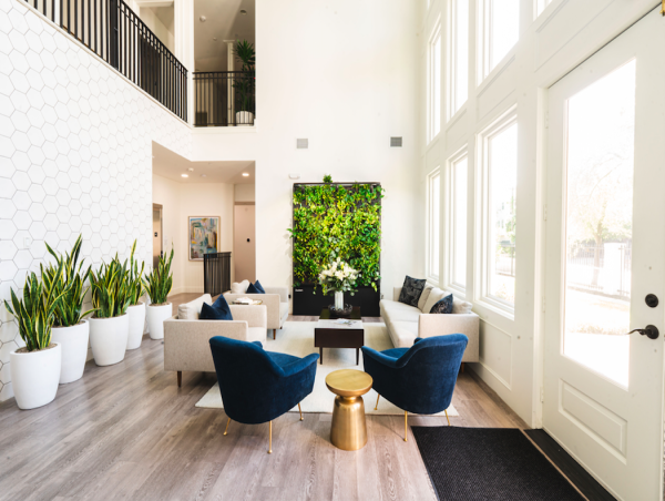 Black Horse Health, A New Heights-Area Health and Wellness Facility, Welcomes Its First Clients
