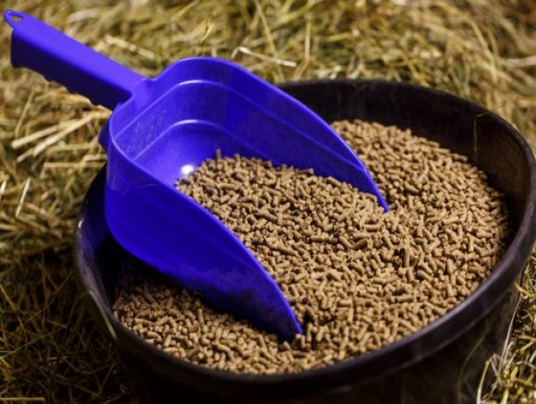 Feed Amino Acids Market to Reach USD 14.5 Billion by 2035, Driven by Animal Farming and Nutritional Advancements