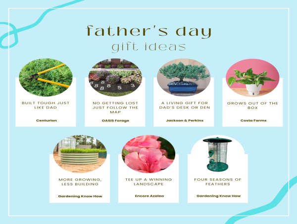 Garden Media Group Shares Seven Gift Ideas for Father’s Day- No Assembly Required