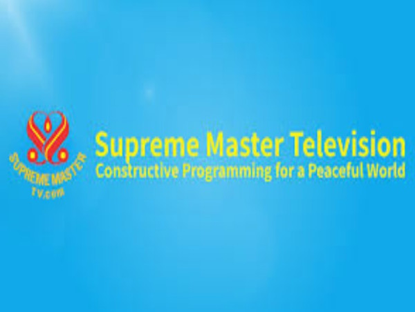 Supreme Master Ching Hai International Association Honors 'Love Is The Only Solution' & Issues An Urgent VEGAN Appeal