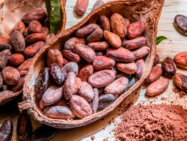 Cocoa Derivatives Market Set to Reach USD 72.96 Billion by 2035, Driven by Expanding Applications in Food and Pharma