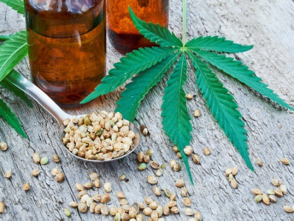 Cannabidiol Market Set to Witness Significant Growth by 2025-2032 | ENDOCA, Cannoid LLC, Medical Marijuana Inc., Folium
