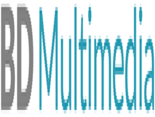 Bd Multimedia : Diffusion Du Rapport Annuel 2024