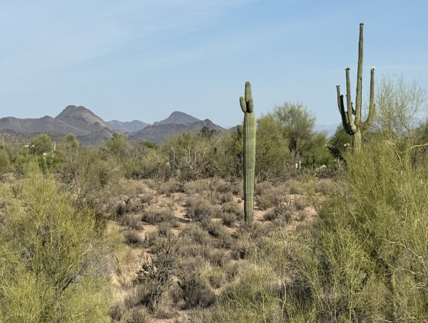 Carefree Park Announces Major Step Toward Preserving 48-Acres of Open Desert