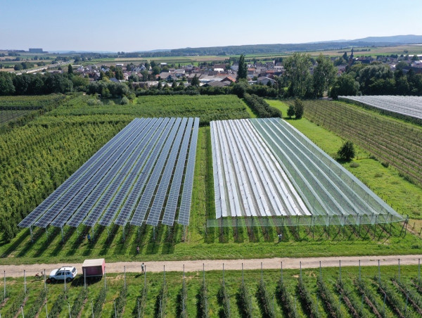 Agrivoltaics Market 2025 Is Booming Worldwide by 2032 | SunAgri, SunSeed APV Private Limited, JA Solar Holdings Co. Ltd