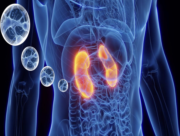  AION Healthspan Announces First Patient Treated in Phase I/II Clinical Trial for Cell Therapy in Chronic Kidney Disease 