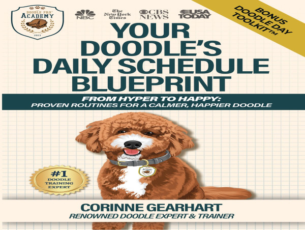 New Book for Doodle Dogs Tops Amazon Charts With First Routine-Based Training Approach
