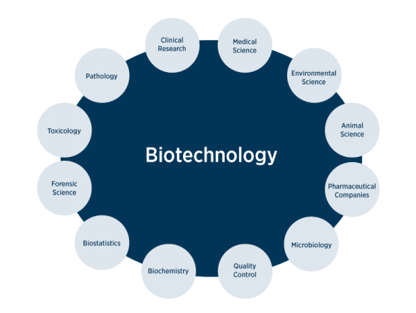 Biotechnology Market Set to Witness Significant Growth by 2025-2032 | Abbott Laboratories, Amgen Inc., GlaxoSmithKline