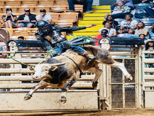 BLACK COWBOY EXCELLENCE CELEBRATED IN FORT WORTH AS BILL PICKETT INVITATIONAL RODEO CROWNS NEW CHAMPIONS