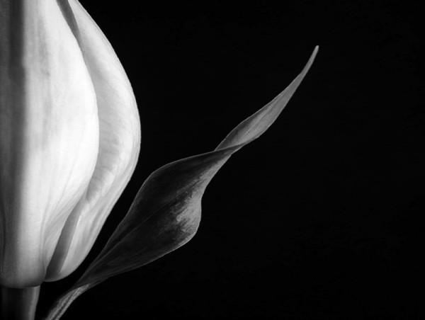 Exposure One Awards Honors Photographer Maria Marriott in 2025 One Shot Photo Contest