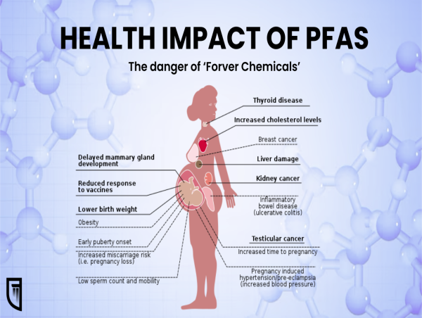 PFAS Chemicals Linked to Multiple Cancer Types