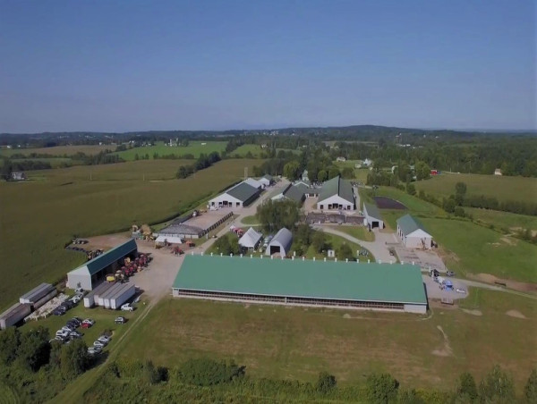 GSR Solutions and Green Mountain Dairy Farm Validate Multi-Year Waste-to-Value Tech for Commercial-Grade Premium Inputs