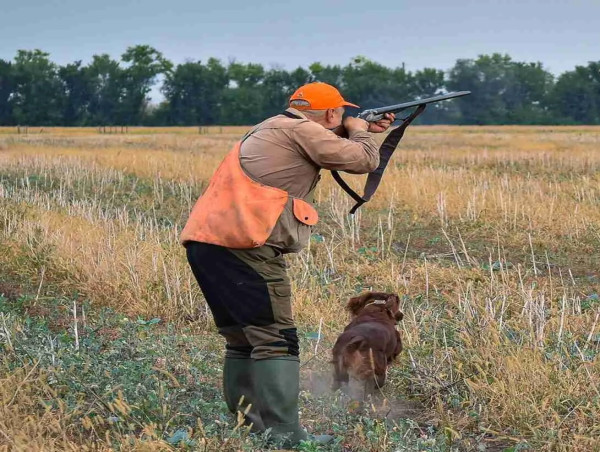 GRAY GHOST PLANTATION NOW BOOKING DEER, QUAIL AND TURKEY HUNTS IN GEORGIA FOR 2025/2026