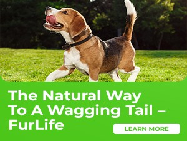 FurLife Announces Launch of Natural Flea & Tick Shampoo and Spray