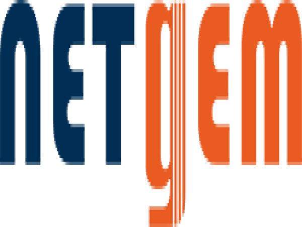 Business Update Netgem Confirms Its Objectives For 2025: Increased Results And Free Cash Flow