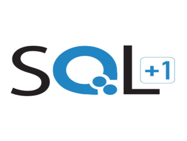 Big Data, Data Lake & Analytics Companies and Services Now One Click Away with SQL Plus one Specialized Listing Platform
