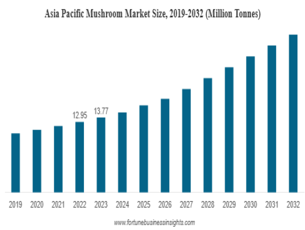 Mushroom Market Size to Projected at 32.04 Million Tonnes by 2032, Growing at 7.18% CAGR (2024–2032)