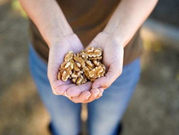 Research Investigates Walnuts' Role in Reducing Inflammation and Colon Cancer Risk