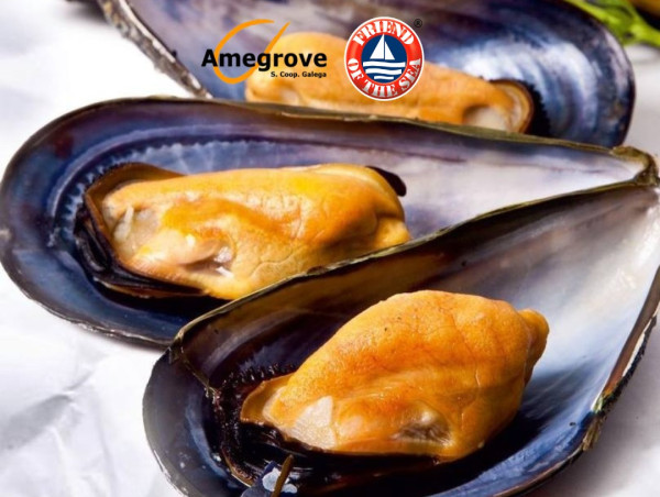 Amegrove's Mussels Achieve Friend of the Sea Certification, Setting a New Standard for Sustainable Aquaculture