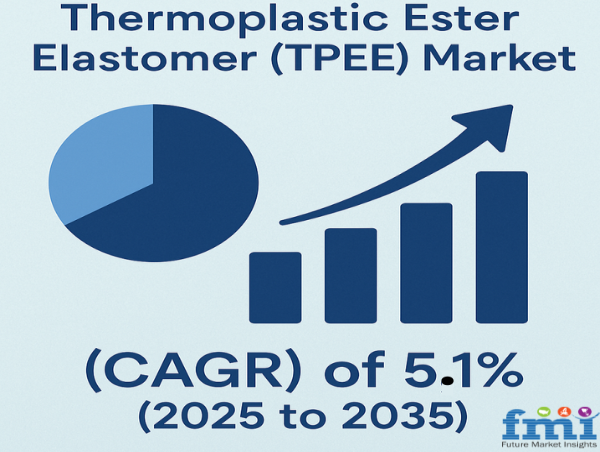 Thermoplastic Ester Elastomer (TPEE) Market to Hit USD 538.9 Billion by 2035, Driven by Automotive & Electronics Demand