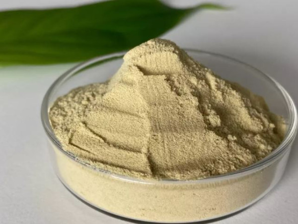 Xylanase Market Set to Surpass USD 35.9 Billion by 2035 Amid Surging Demand for Eco-Friendly Industrial Solutions