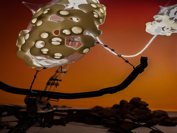 Black Void's Astromycology: Terraforming Mars through Mycelium