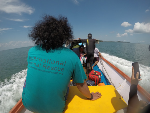  Answering Attenborough's Call Cempedak's New Ocean Learning Hub Sparks Hope For Dugongs And Coastal Communities 
