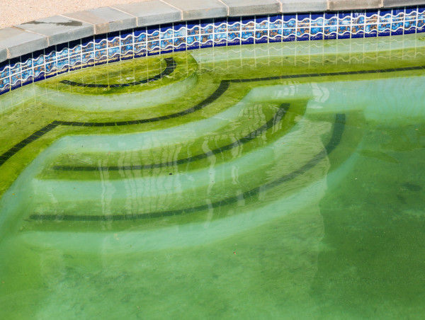 Cloudy Pool Water in Southeast Louisiana: Common Causes and How to Resolve Them