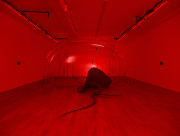 Anastasia Komar Unveils Multisensory Installation 'LUCA' to Explore Humanity’s Primordial Origins