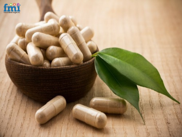 Probiotic Supplements Market Surge to USD 34.08 Billion by 2035, Driven by Rising Demand for Digestive Health Solution