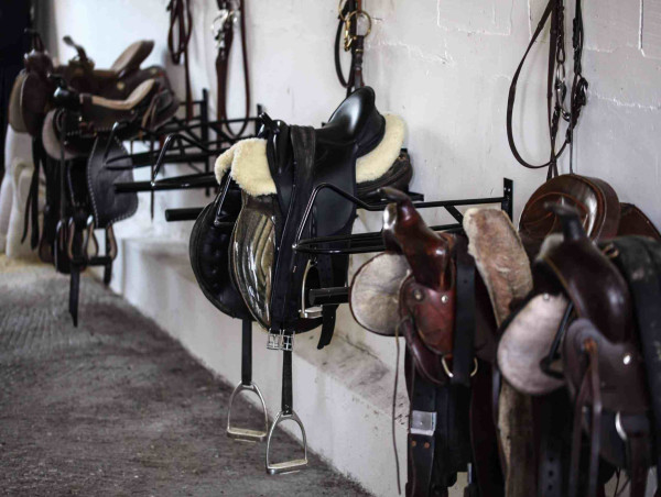 Global Horse Riding Equipment Market Set to Grow Steadily Driven by Rising Demand for Premium and Safety Gear