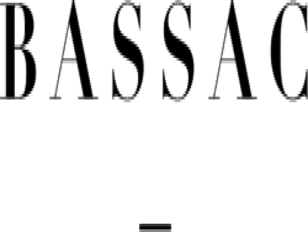  Bassac (Ex Les Nouveaux Constructeurs) : Nombre Total D'actions Et De Droits De Vote Conversion Des Adp 2019 En Actions Ordinaires 