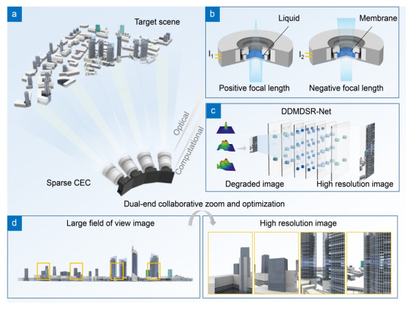 Fast-zoom and high-resolution sparse compound-eye camera based on dual-end collaborative optimization 