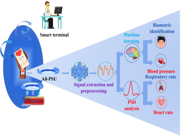 Cardiorespiratory Function Assessment and Biometric Recognition with Intelligent Photonic Wristband