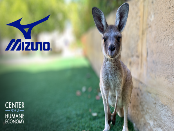  Mizuno Signals Phase Out of Kangaroo Leather in Athletic Shoes Amid Mounting Global Pressure 