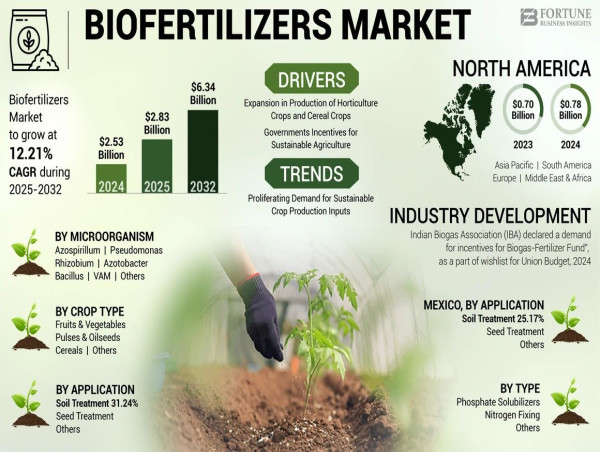  Biofertilizers Market Size to Worth USD 6.34 billion by 2032 | CAGR of 12.21% during 2025-2032 