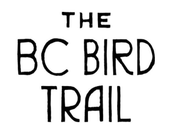 BC Bird Trail Partners with The Nature Educator to Inspire the Next Generation of Birders