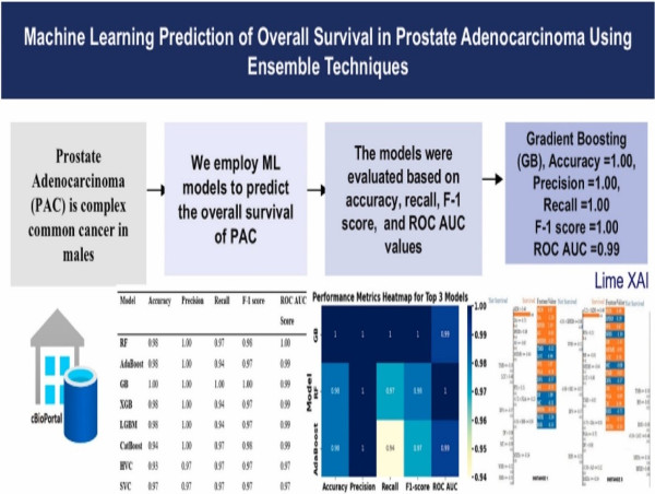 Scientists develop AI method to predict overall survival rate of prostate cancer patients