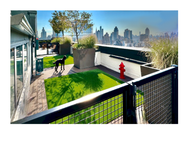  Pup-Grass® Artificial Grass for Dogs: Now offering Installation Services Nationwide 