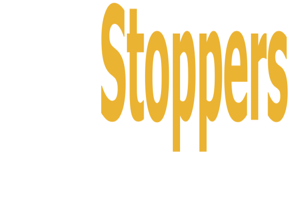 ShowStoppers Partners with Grupo Eletrolar to Introduce Journalists from North America to Tech from Latin America
