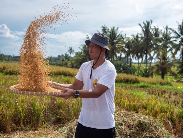  A New Wave of Purpose-Driven Travel Through Rice Farming 