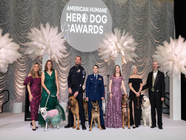  American Humane Society’s 15th Annual Hero Dog Awards® Nominations Now Open 
